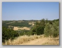 panorama circostante - tomba etrusca di montefiridolfi