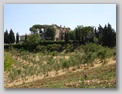 case intorno alla strada - tomba etrusca di montefiridolfi