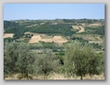 panorama circostante: tomba etrusca di montefiridolfi
