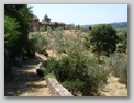 sulla strada del ritorno - tomba etrusca di montefiridolfi