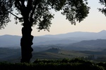 Castelfalfi -  landscape