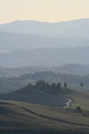 Castelfalfi - Tipycal tuscan landscape