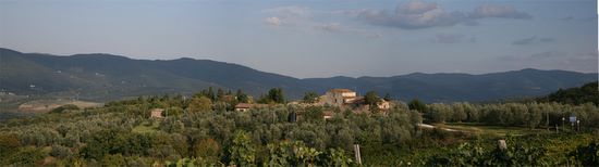 Panoramica di una colonica - Mercatale Val di Pesa | acino_rosso_panorama2.jpg