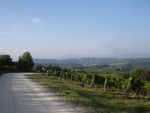 The road - Mercatale Val di Pesa