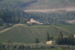 Rural buildings and vineyards  - Mercatale Val di Pesa
