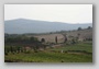Landscape of the road similar to sienese crete and Monticchiello