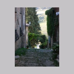 Fonterutoli_dsc03915.jpg