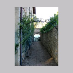 Fonterutoli_dsc03929.jpg