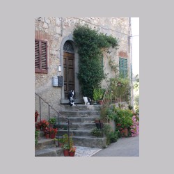 Fonterutoli_dsc03932.jpg