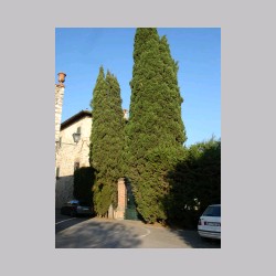 Fonterutoli_dsc03957.jpg