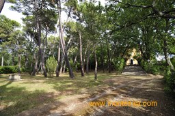 'Villa Monte Nisa' the woods
