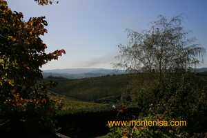 Monte Nisa - 