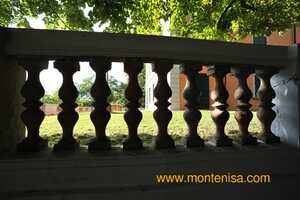 Monte Nisa - Summertime