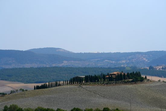 Landscape near Siena - (Crete) | img_4889.jpg