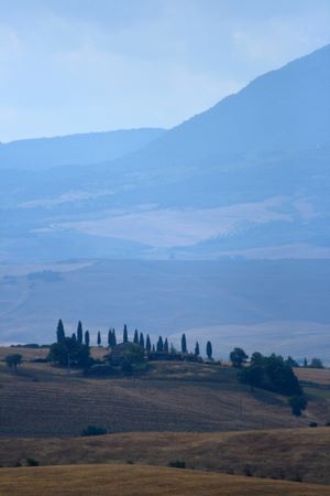 Landscape - Crete senesi | img_4893.jpg