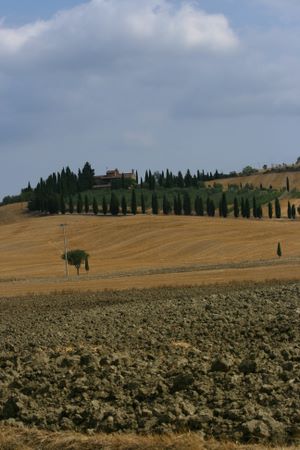 On the road to Monticchiello (Siena) | img_4895.jpg