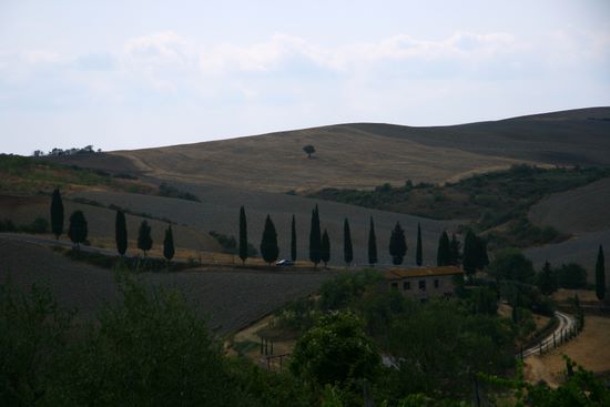 The road near Monticchiello - Siena | img_4899.jpg