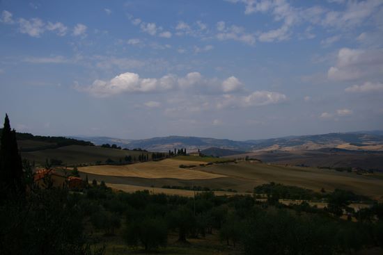 Landscape on the road to Monticchiello | img_4900.jpg