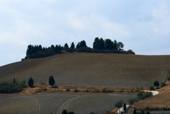 Typical landscape in Monticchiello | img_4947.jpg