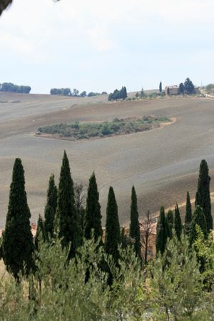 Panorama nei dintorni di Monticchiello | img_4951.jpg