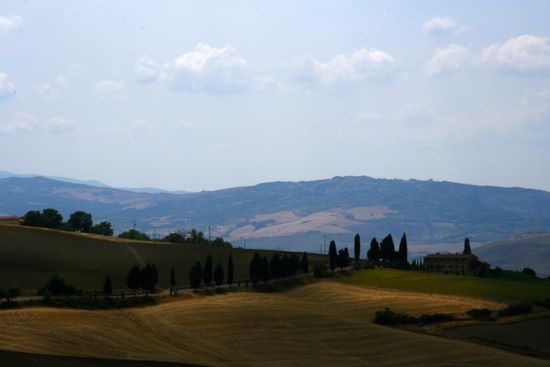 Landscape  - Monticchiello | img_4968.jpg