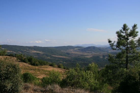 Montignoso - panorama dalla strada | img_7394.jpg